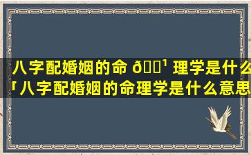 八字配婚姻的命 🌹 理学是什么「八字配婚姻的命理学是什么意思」
